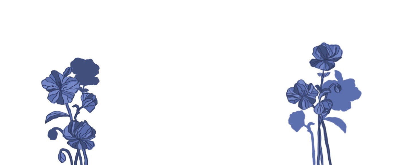 collection-banner-image